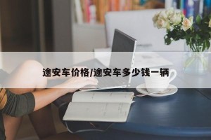 途安车价格/途安车多少钱一辆