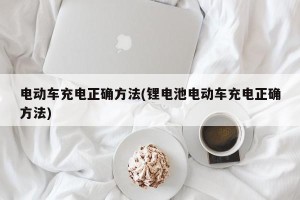 电动车充电正确方法(锂电池电动车充电正确方法)