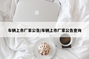 车辆上市厂家公告/车辆上市厂家公告查询