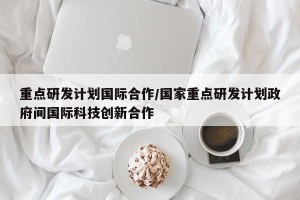 重点研发计划国际合作/国家重点研发计划政府间国际科技创新合作